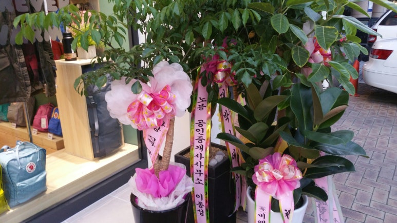 피엘라벤대구 이미지