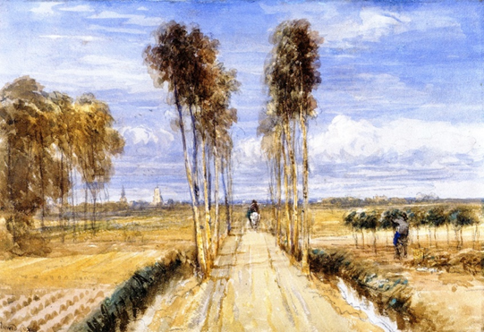 포플러(poplar) 이미지