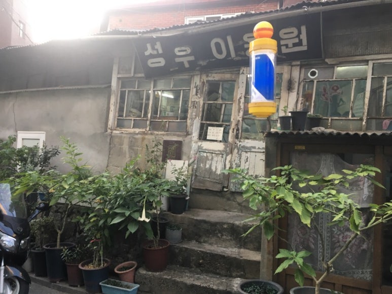 진이용원 이미지