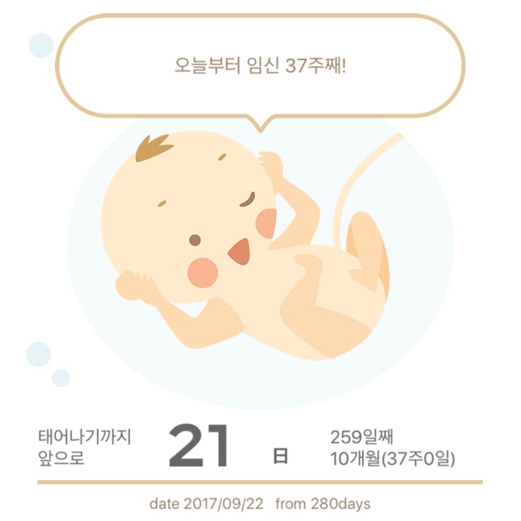 누가머랭 이미지