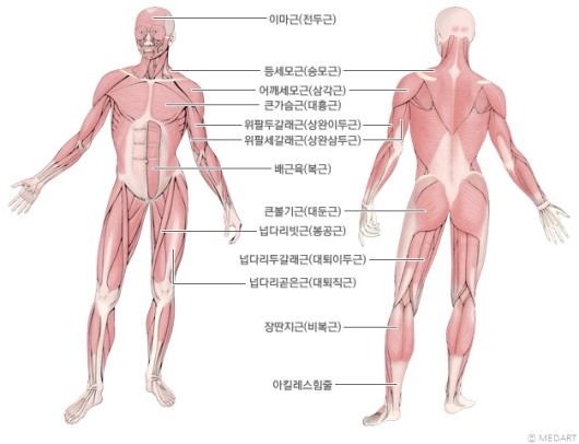 클린짐휘트니스 이미지