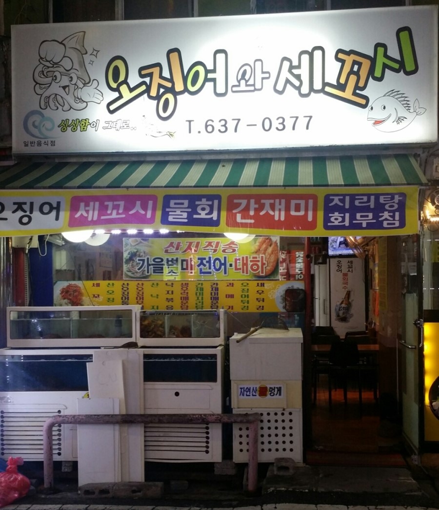 오징어와세꼬시 이미지