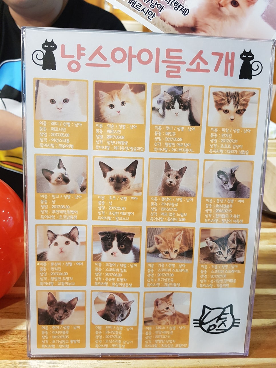 냥스 이미지