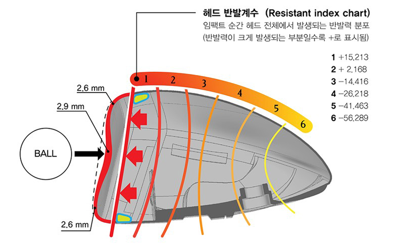 더S.S골프 이미지