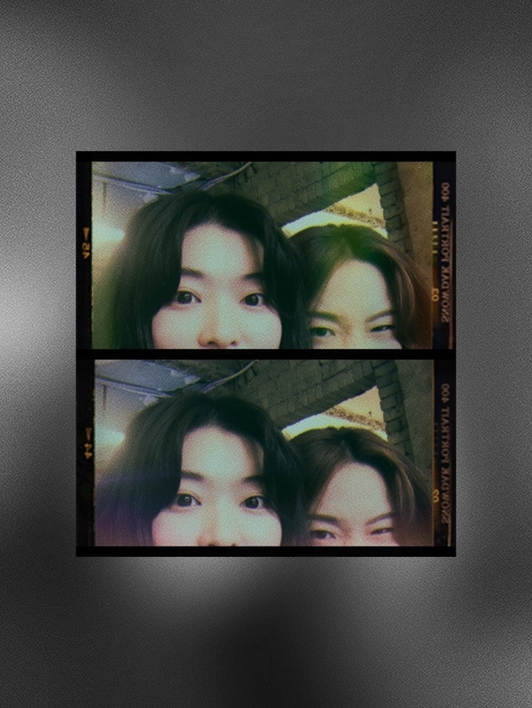 앨리스포레 이미지