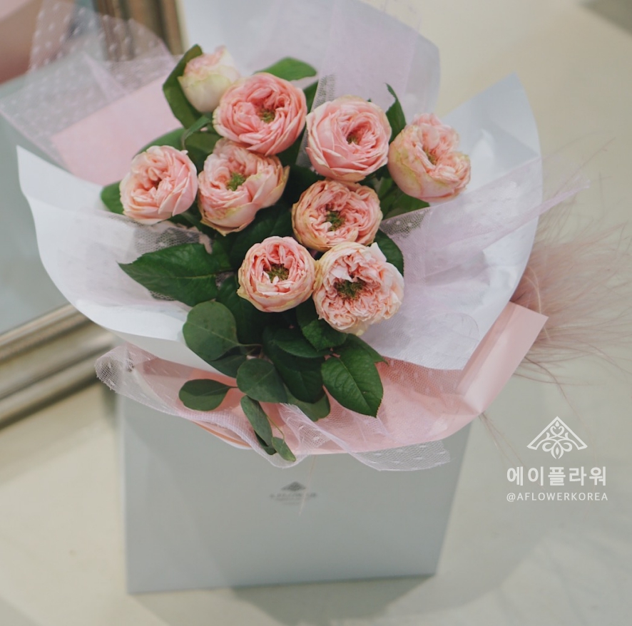 에이플라워 이미지