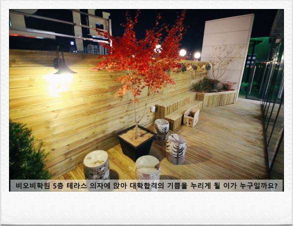 비오비컨설팅 이미지