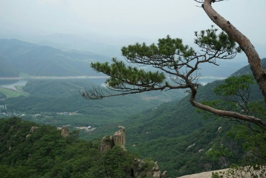 강동경희대학교병원장례식장근조화환꽃집 이미지