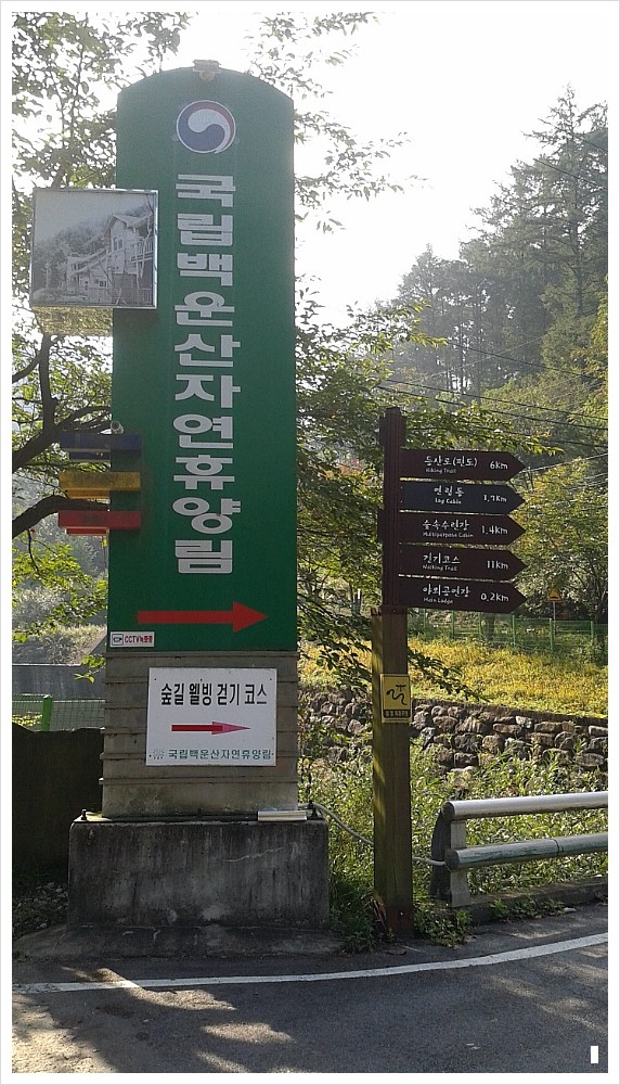 자연누리숲학교협동조합 이미지