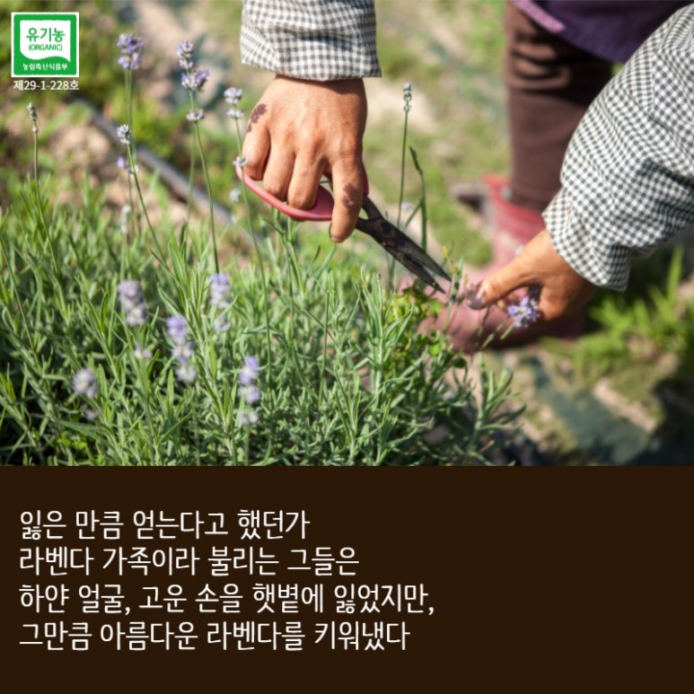 국제허브아카데미 이미지
