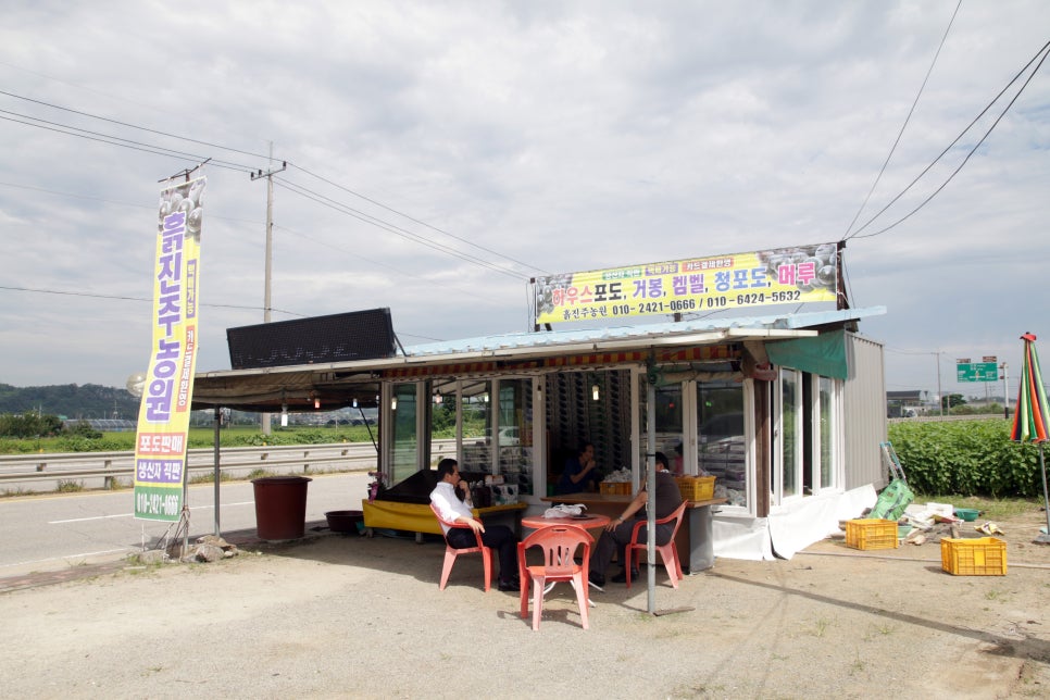 흙진주농원 이미지