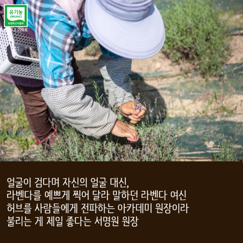 국제허브아카데미 이미지