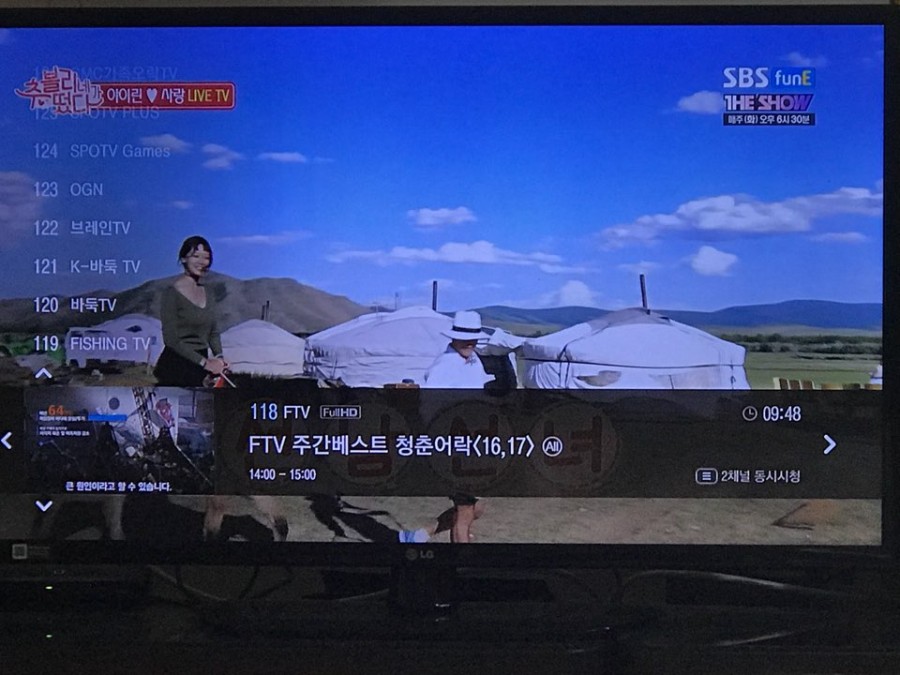 청춘어락 이미지