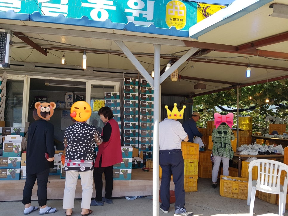 율길농원 이미지