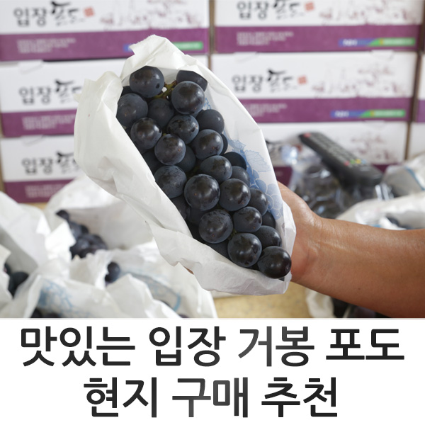 흙진주농원 이미지