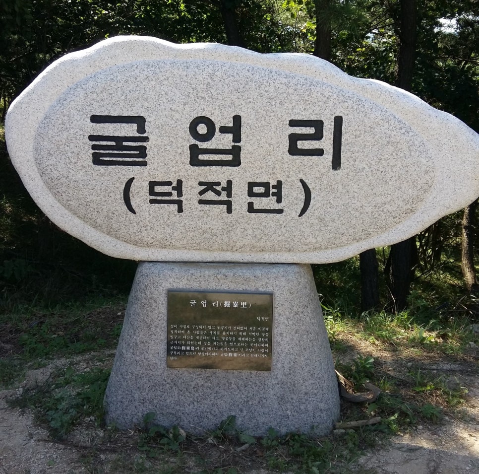 신일여행사 이미지