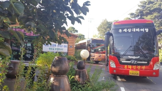 선채향 이미지
