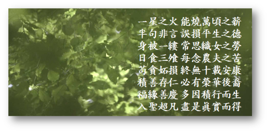 일루언 이미지