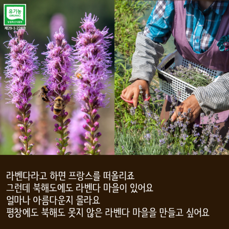 국제허브아카데미 이미지