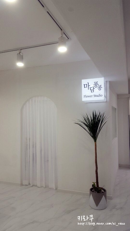 주주샵 이미지