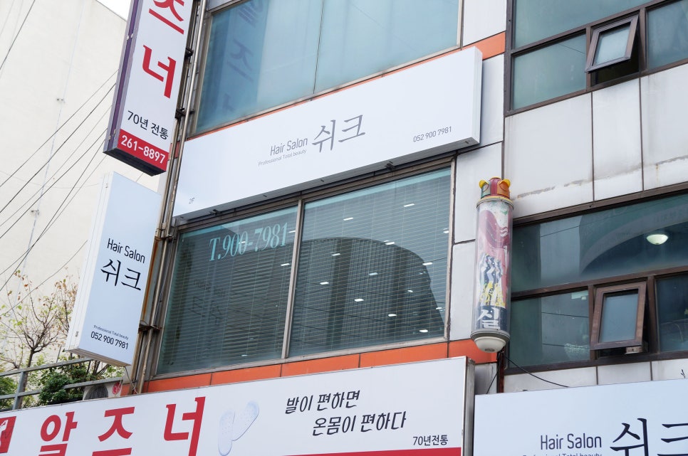 쉬크헤어 이미지