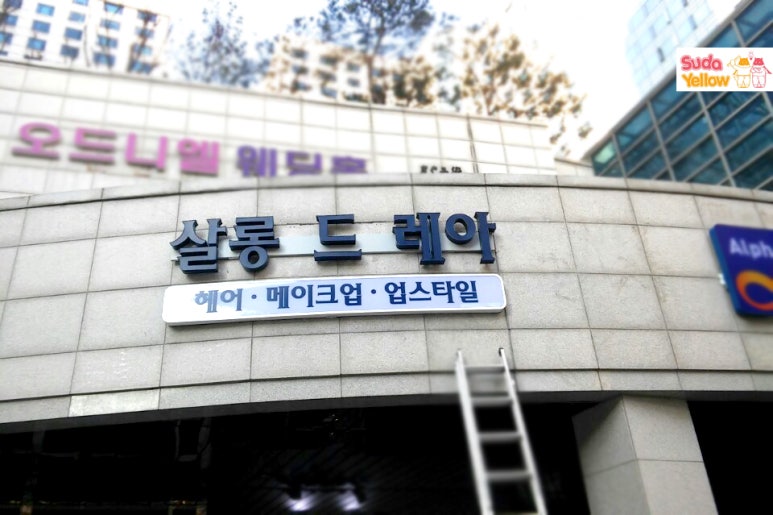 살롱드레아 이미지