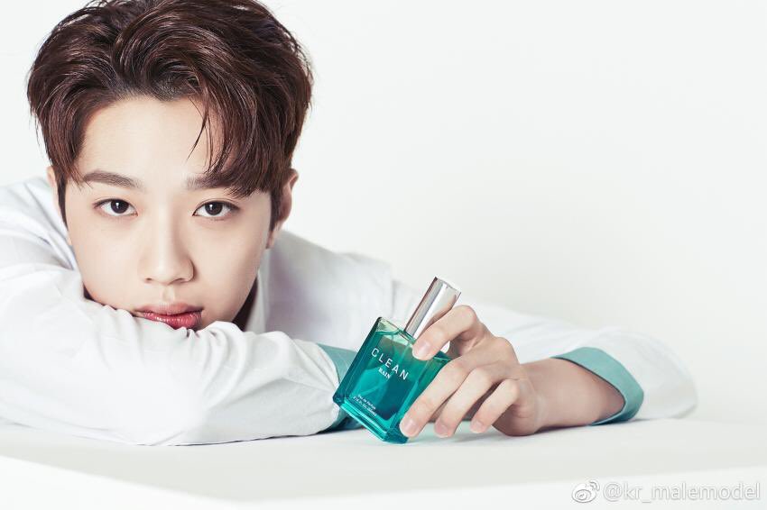 원클린 이미지
