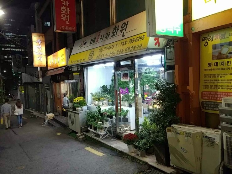 베로니카화원 이미지