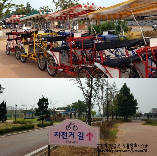 안성팜랜드임실치즈피자점 이미지