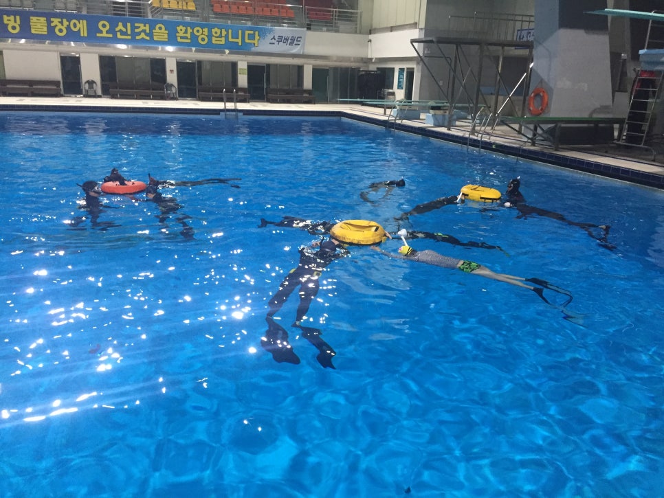 창진렌탈 이미지