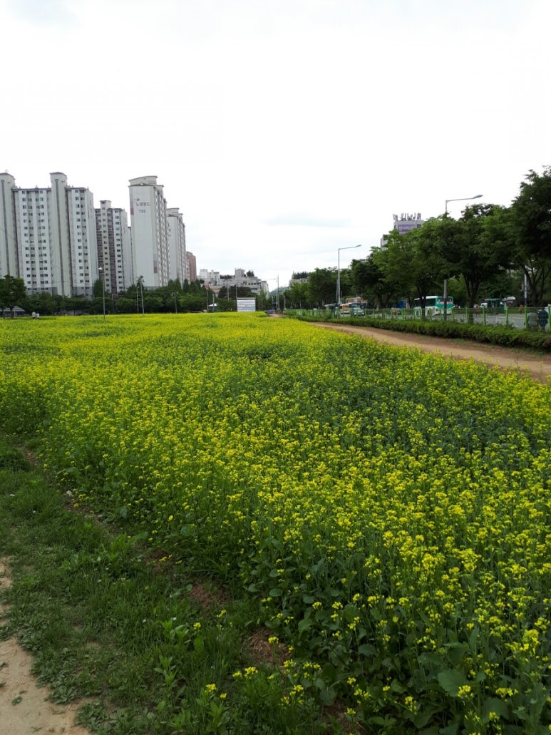 지행락볼링장 이미지