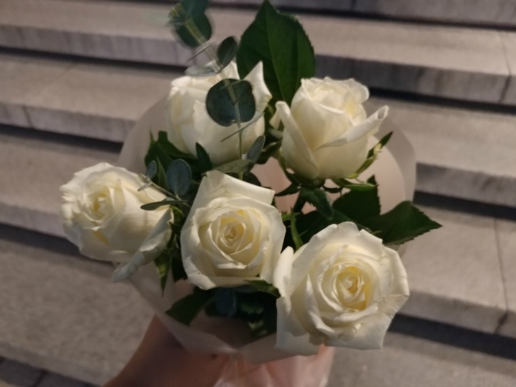 베로니카화원 이미지