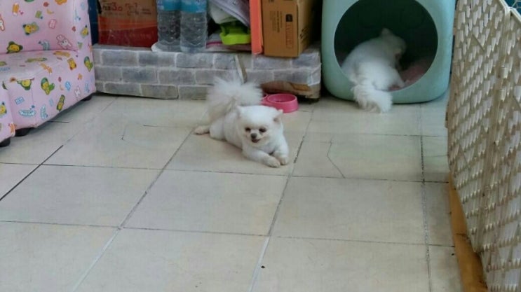엄마커피 이미지
