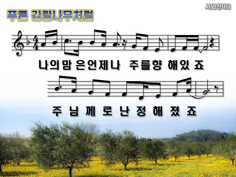 푸른감람나무 이미지