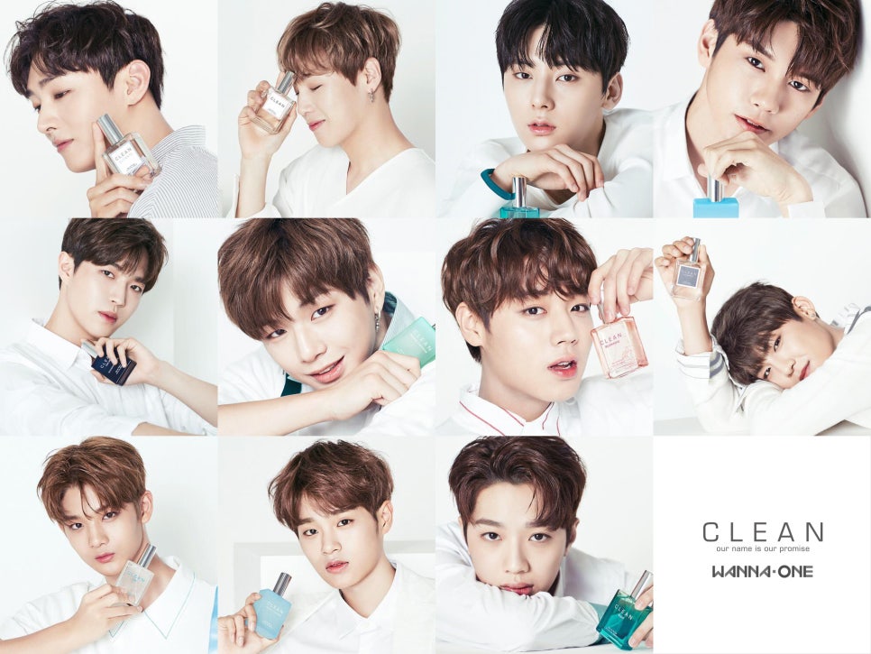 워너클린 이미지