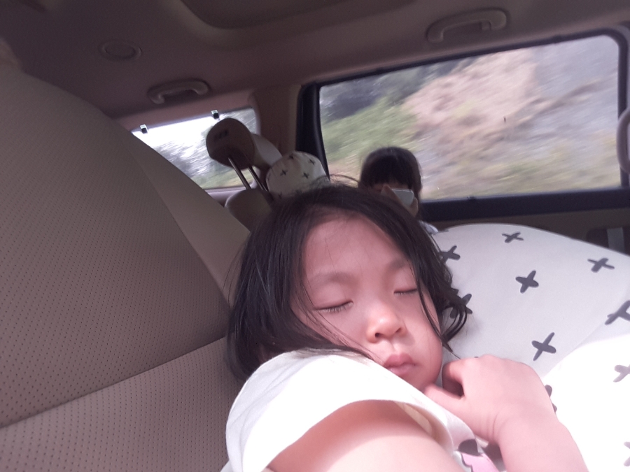 일월관광농원 캠핑장 이미지