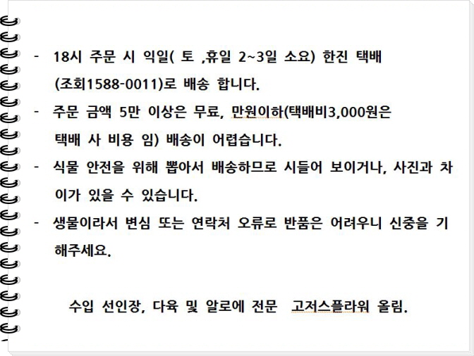 지엔시스 이미지