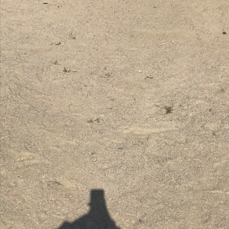 프루츄 이미지