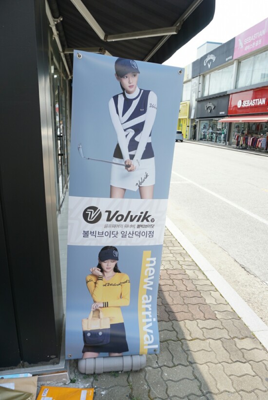 볼빅고양 이미지