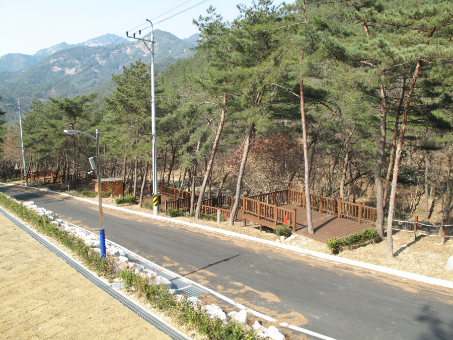 솔바람 야영장 이미지