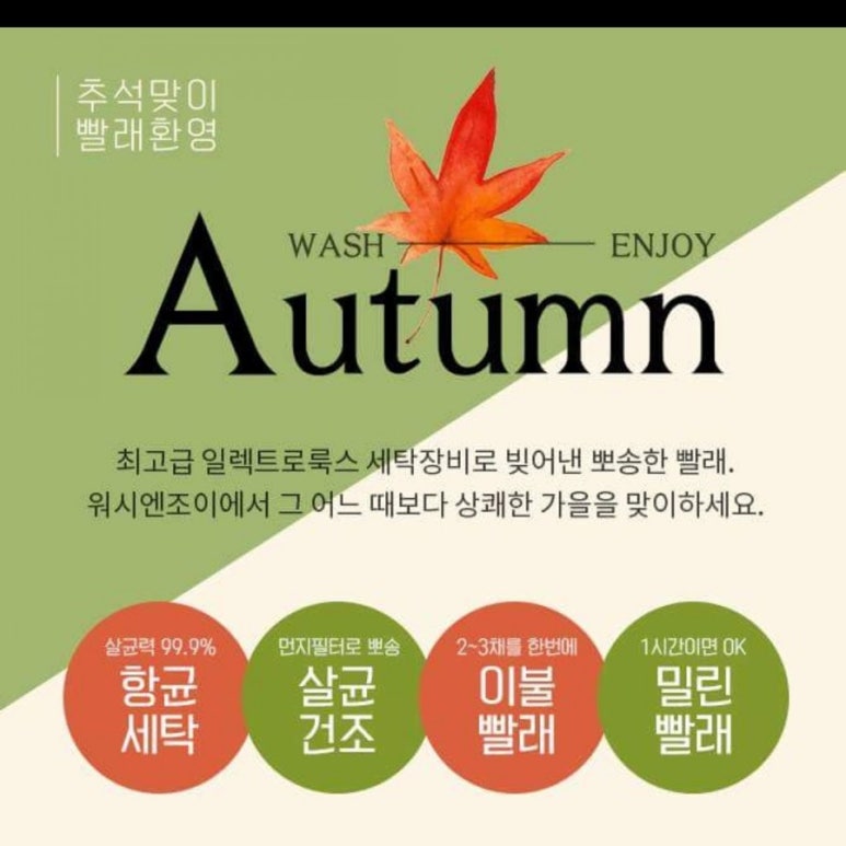 워시앤조이대전 이미지