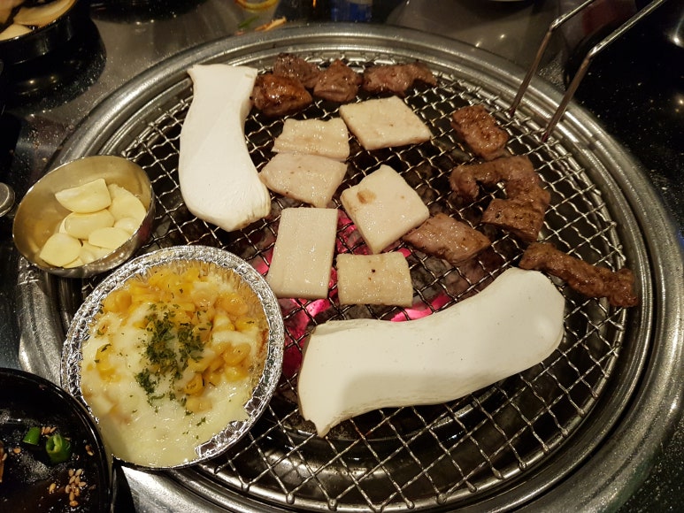 꽃돼지갈매기 이미지