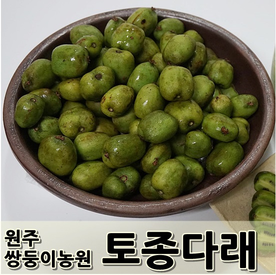 쌍둥이농원 이미지