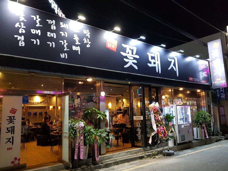꽃돼지갈매기 이미지
