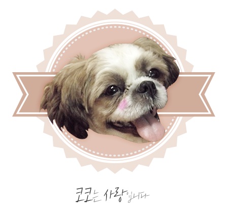 가자셀프세차 이미지