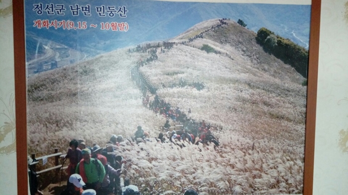 또바기펜션 이미지