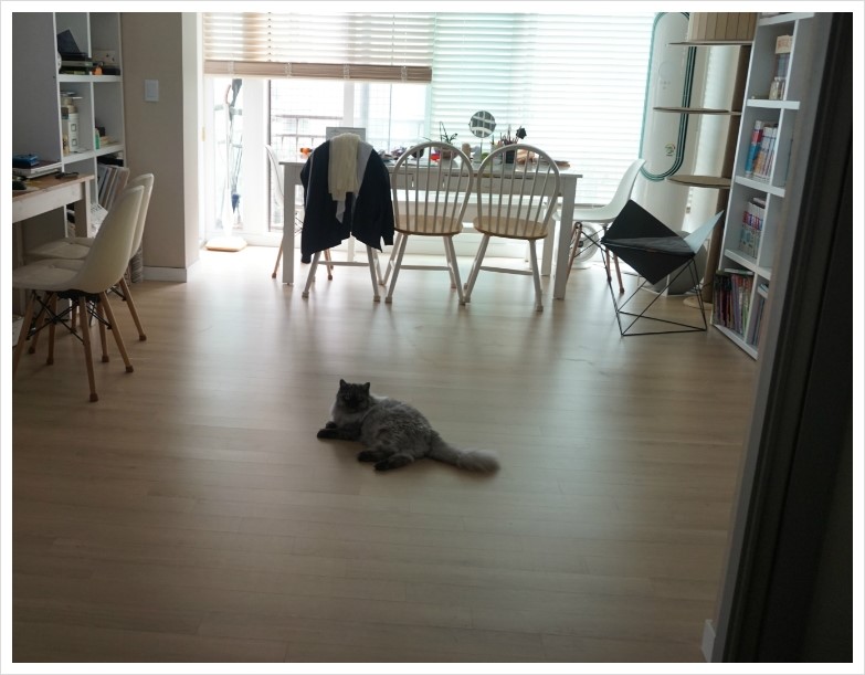 미소청소대행 이미지