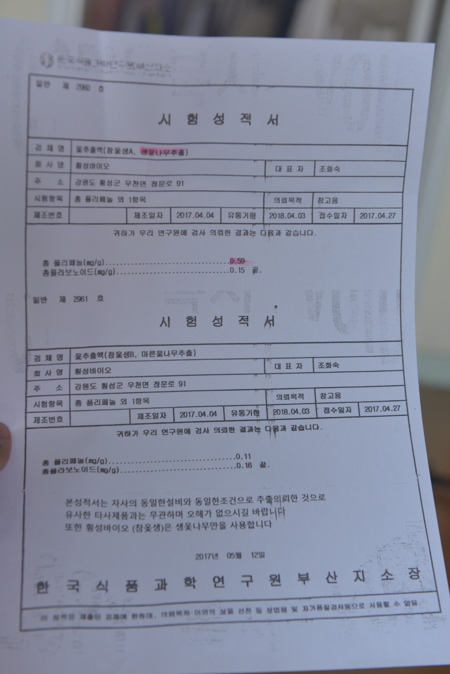 횡성참옻 이미지