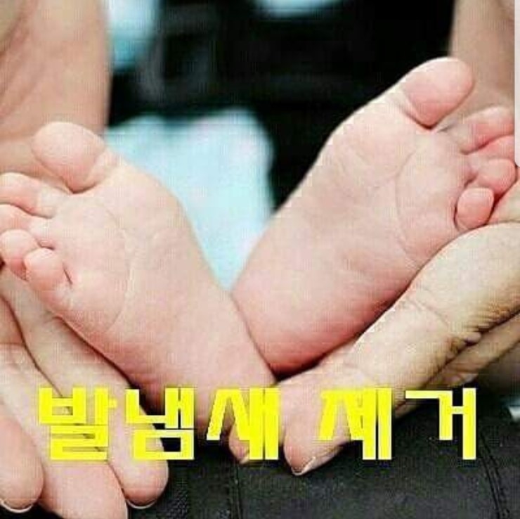 장고 인터네셔널 이미지