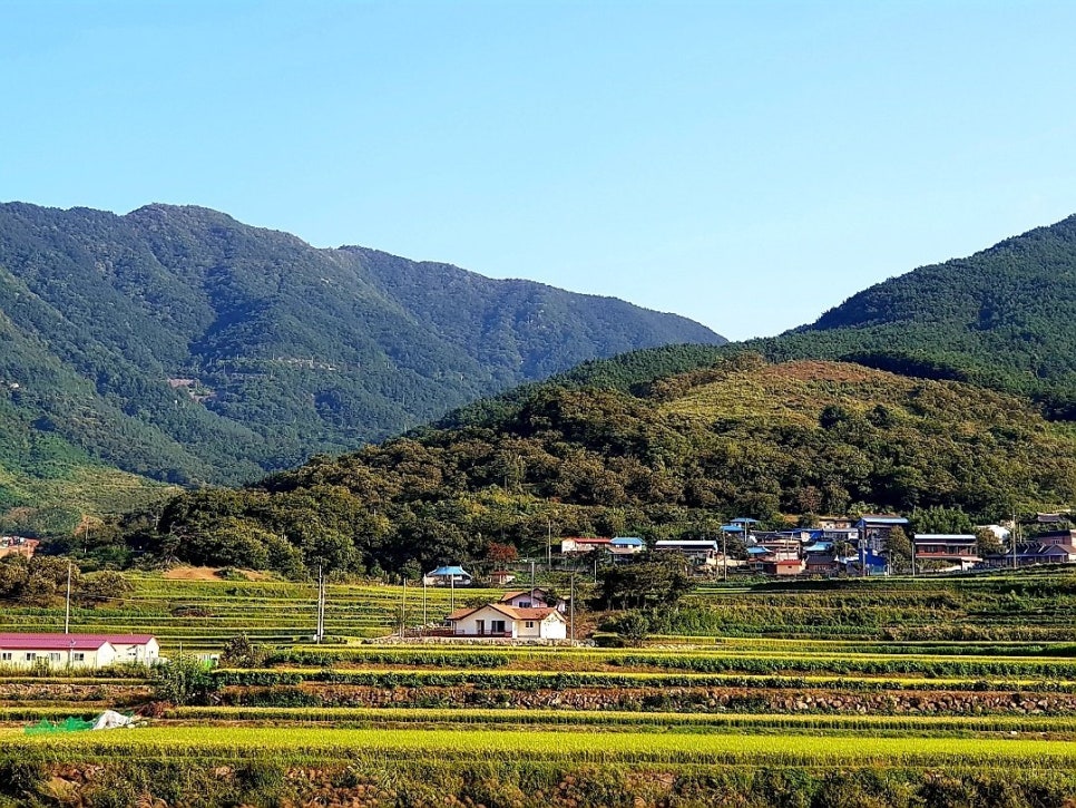 지리산 산골농원 이미지